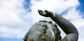 Czy odchody kota są szkodliwe?