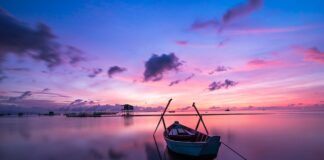 Co to jest Travel w koszykówce?