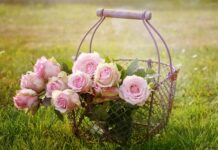 Jaki worek do kosza 120L?