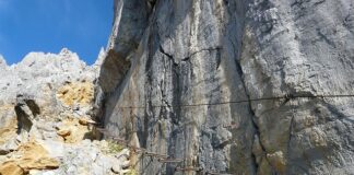 Jak blokować w koszykówce?