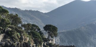 Ile kosztuje jedno ładowanie hulajnogi?