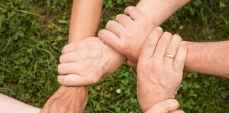 Jak zdobyć zaufanie u królika?