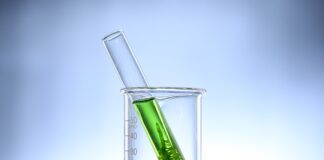 Co zdrowsze chlorella czy spirulina?