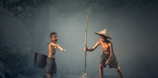 Jaka jest największa ryba akwariowa?