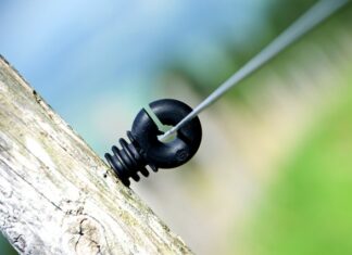 Ile Polaków było w NBA?