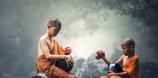 Jak często używać płynu do czyszczenia zmywarki?