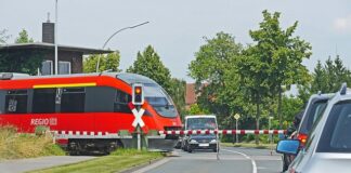 Na jakim poziomie jest kosz?
