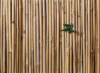 Co zrobić aby bita śmietana była sztywna?