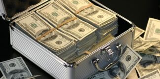 Ile zarabia mistrz sumo?