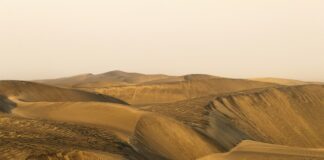 Co można zamykać Próżniowo?