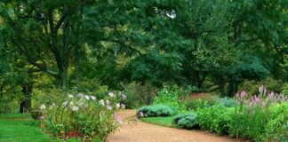 Czy żwirek silikonowy jest dobry?