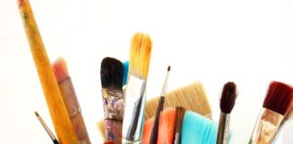 Czy Czesać kota pod włos?