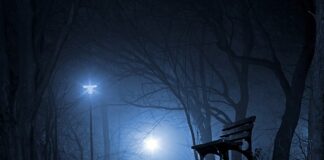 Czy Polska zdobyła medal w koszykówce?