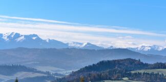 Jak mówią górale na ziemniaki?