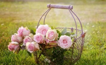 Jak wysoko kosz kobiecy?