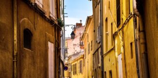 Czy można wyrywać piłkę w koszykówce?