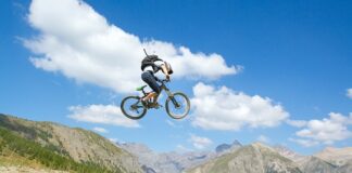 Co oznacza skrót wsad?